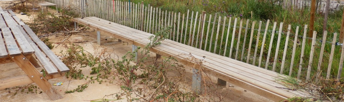 Grande soustraction de&nbsp;printemps