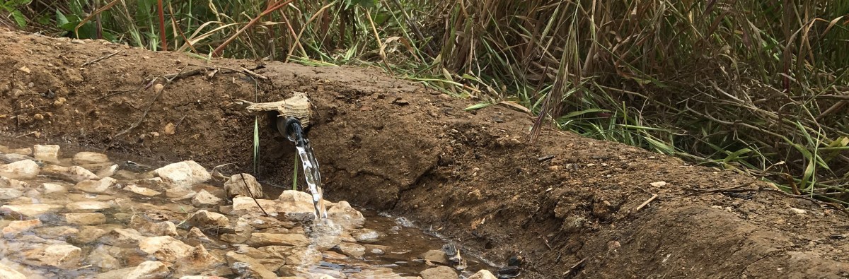 Le chant des&nbsp;tuyaux